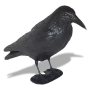 RAVEN AHUYENTA PALOMAS